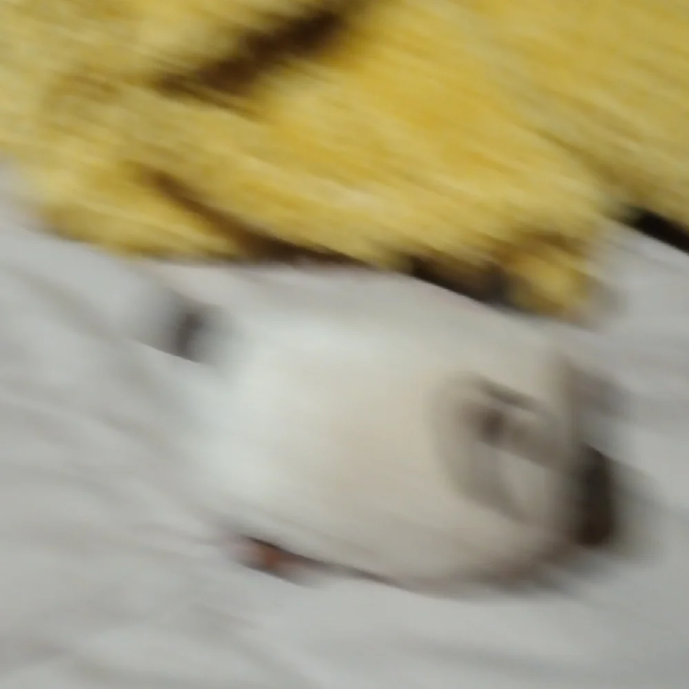Ty- Siamese Cat Toy - White and Brown- Teeny Tys